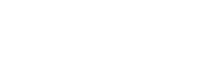Blackwolf background logo